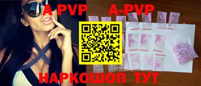 спайс Кингисепп