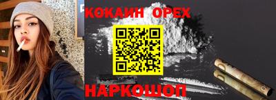 спайс Кингисепп