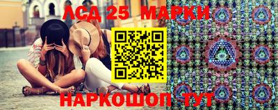 спайс Кингисепп