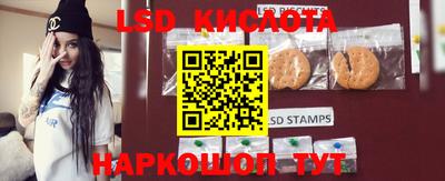 спайс Кингисепп