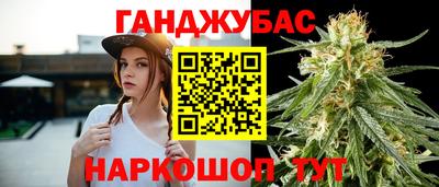 спайс Кингисепп