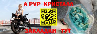 спайс Кингисепп