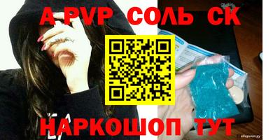 спайс Кингисепп