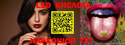 спайс Кингисепп